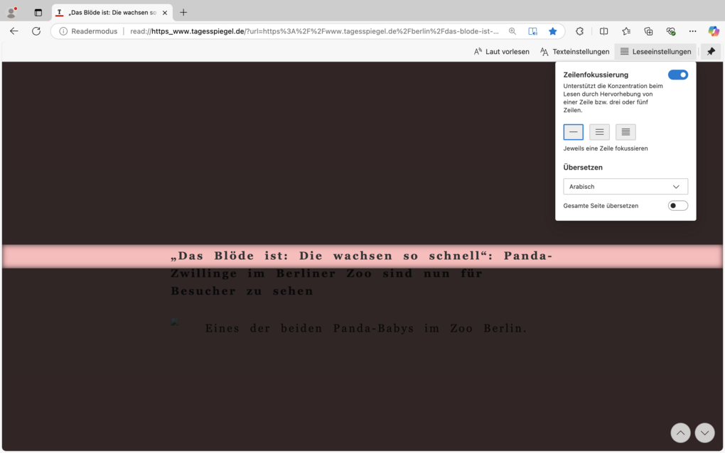 App-Screenshot - Infos im Text