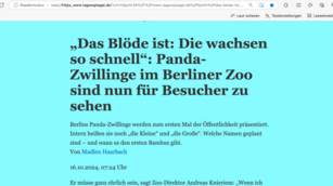 Darstellung einer Webseite im Plastischen Readers mit großer Schrift vor hellblauem Hintergrund