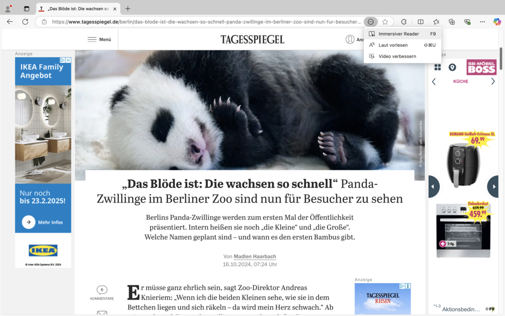 App-Screenshot - Infos im Text